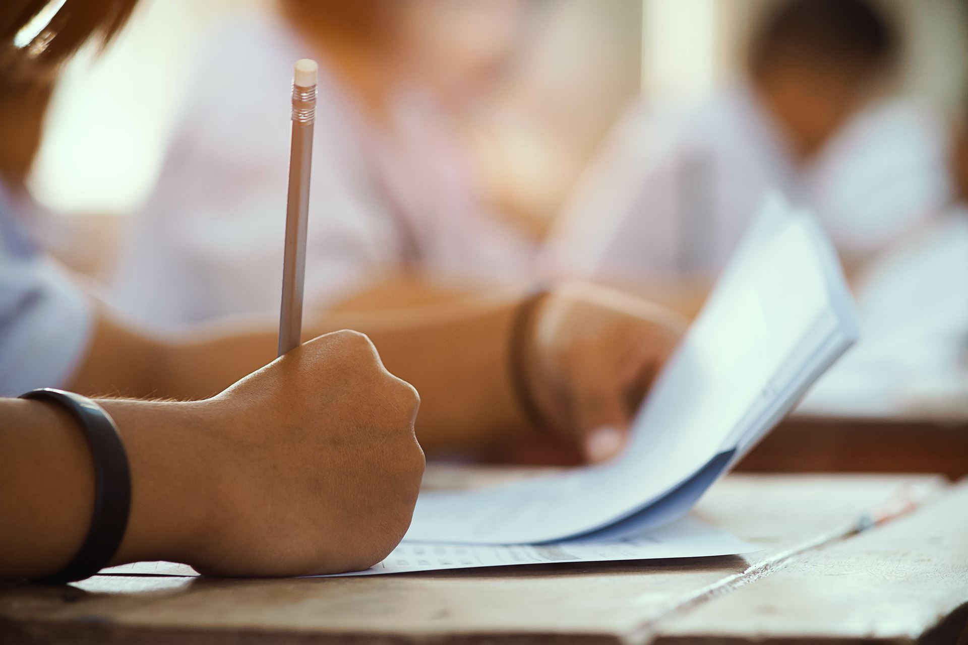 Activité no 2 : Complète le repas (fiche de travail) 