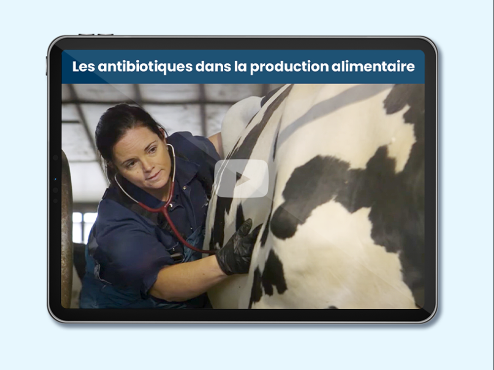 Nourrir le Canada: Antibiotiques dans la production alimentaire